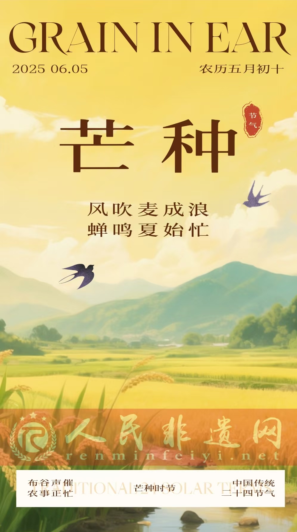 芒种至，非遗存：在节气智慧中触摸千年农耕脉动